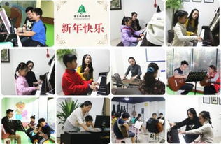 图 沙坪坝79.9元学钢琴 吉他 古筝 声乐到枫铃琴行 重庆文体培训