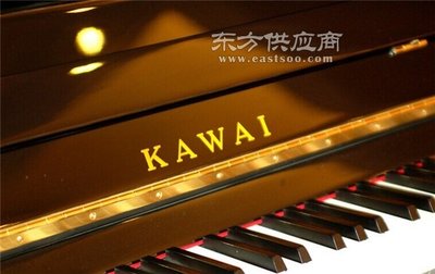 宝安钢琴修理服务,钢琴修理服务,云和琴行(查看)批发