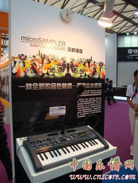 上海乐展09 通利琴行与 korg 展台 新产品