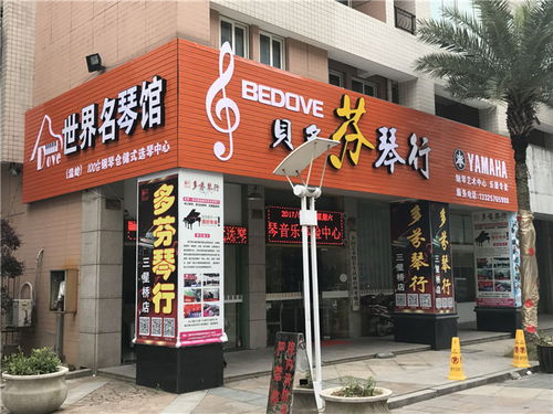 音乐 多芬琴行 音乐大师课